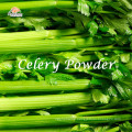 water soluble organic celery juice powder